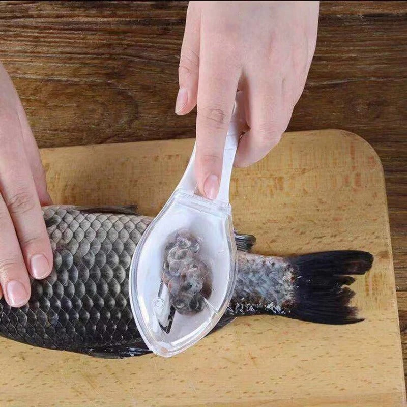 Raspador de escama de peixe